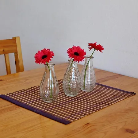 4197b Apartment